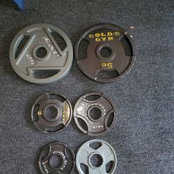 Olympic Weight Plates totalling 65 lbs