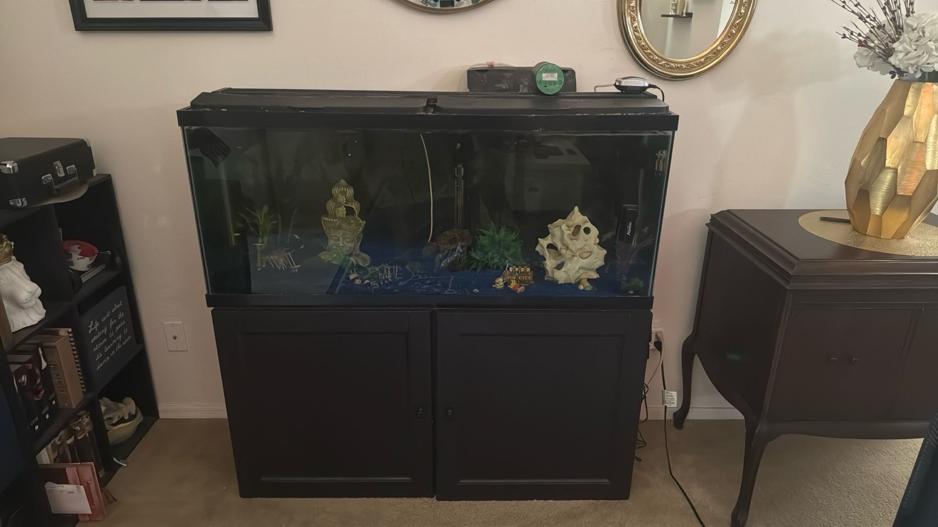 Fish Tank