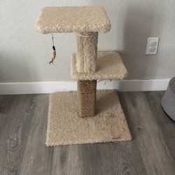 Cat Tower