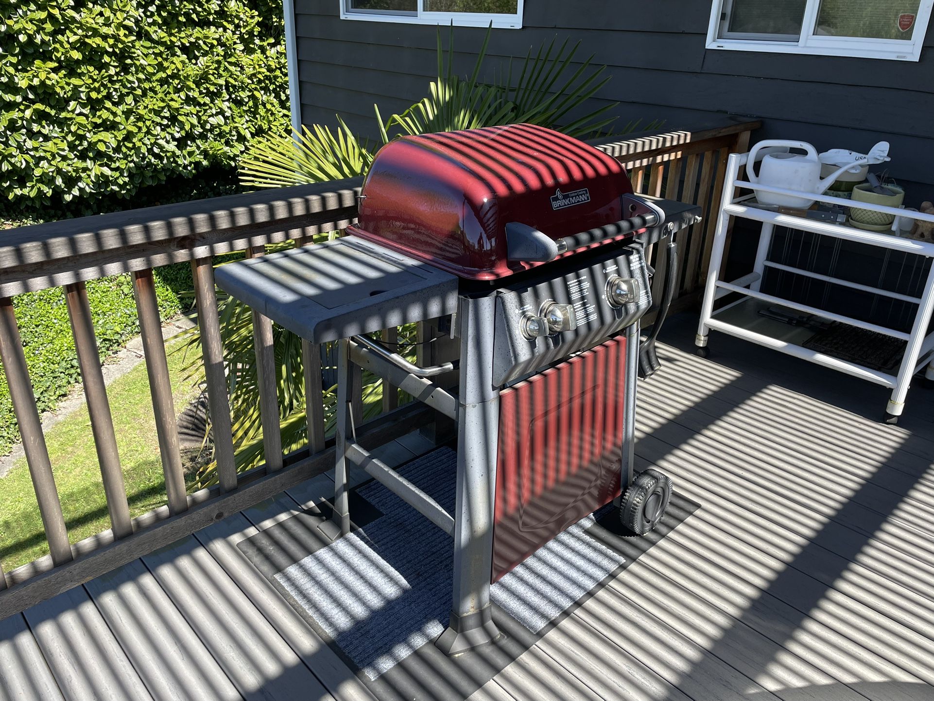 Gas Grill with Tank