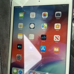 iPad Mini 2