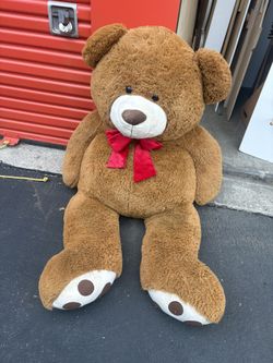 Teddy Bear