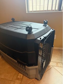 Large Dog Kennel