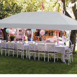 Members Mark 10ft x20ft Canopy