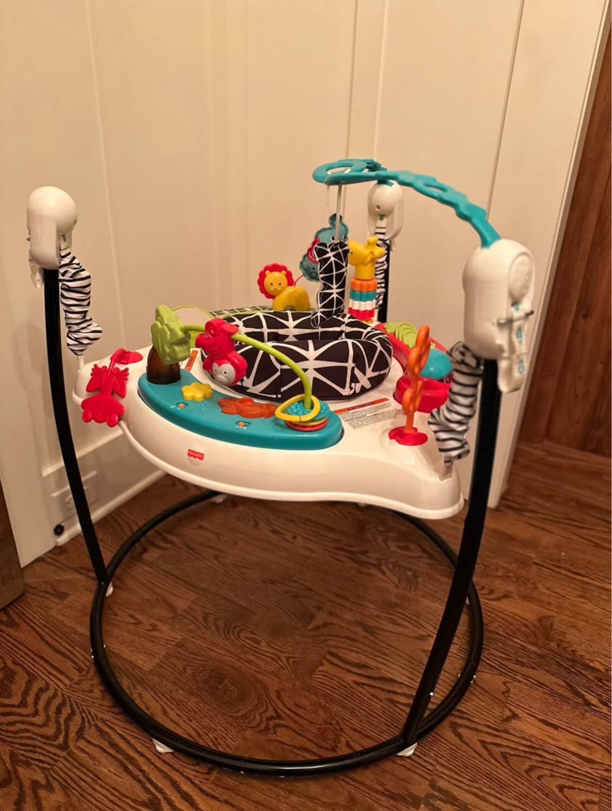 Baby Bouncer