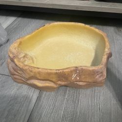 Reptile Bowl