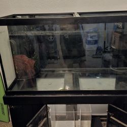 90 Gallon Fish Tank