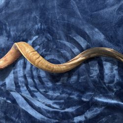 49” Shofar 