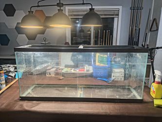 Pecera para terrario o animales pequeños