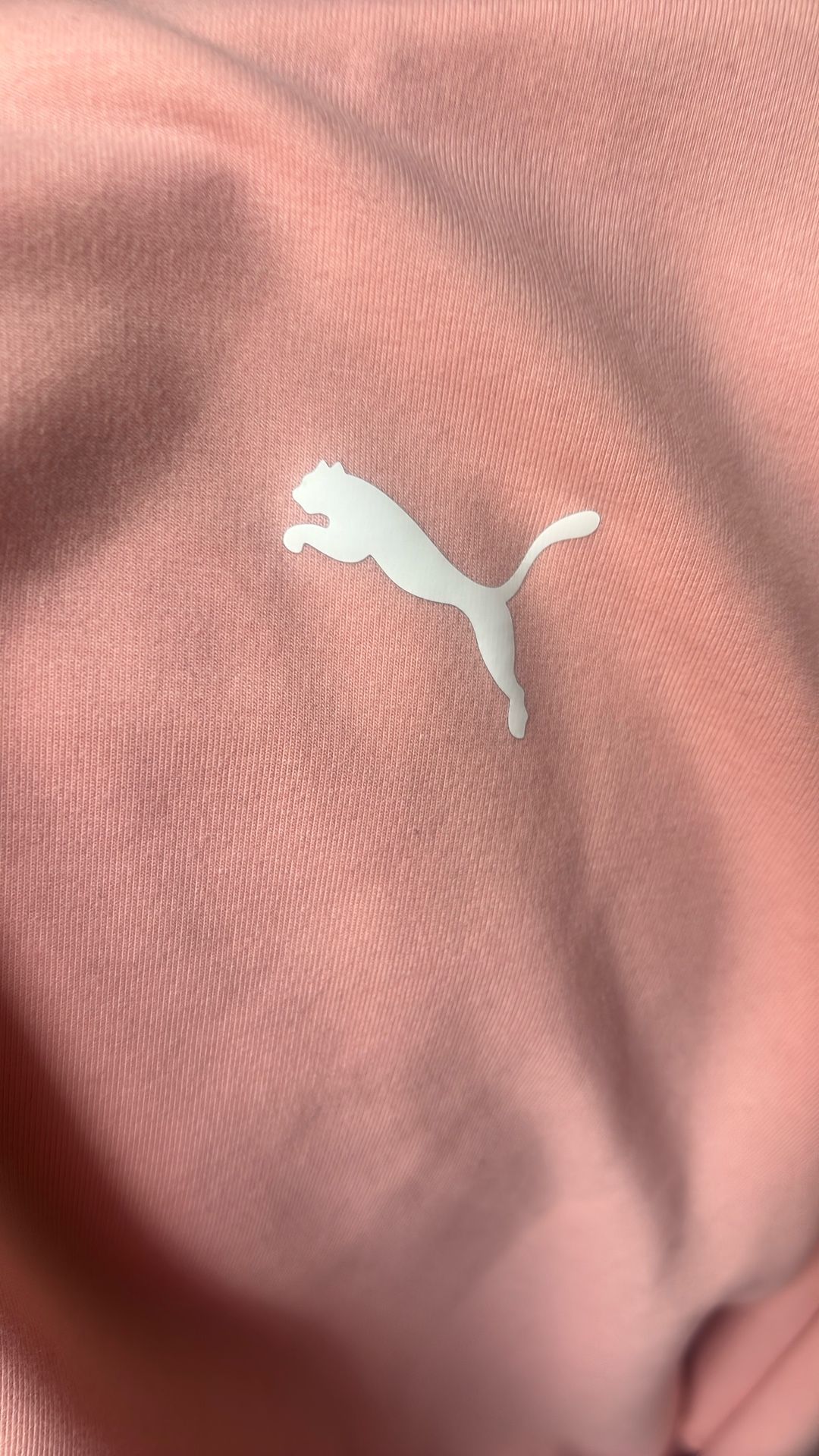 Puma Hoodie