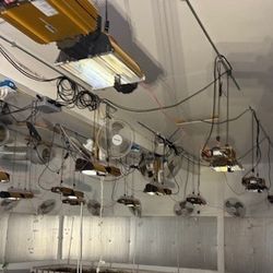 Dimlux Expert Series Grow Lights