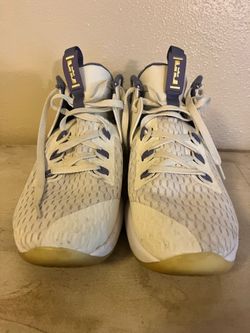 Nike LeBron shoes