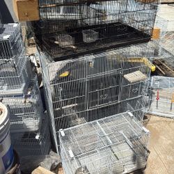 Bird Cages For Sale 