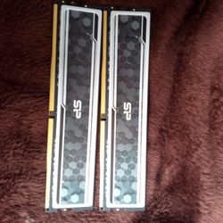 DDR4 Ram Sticks