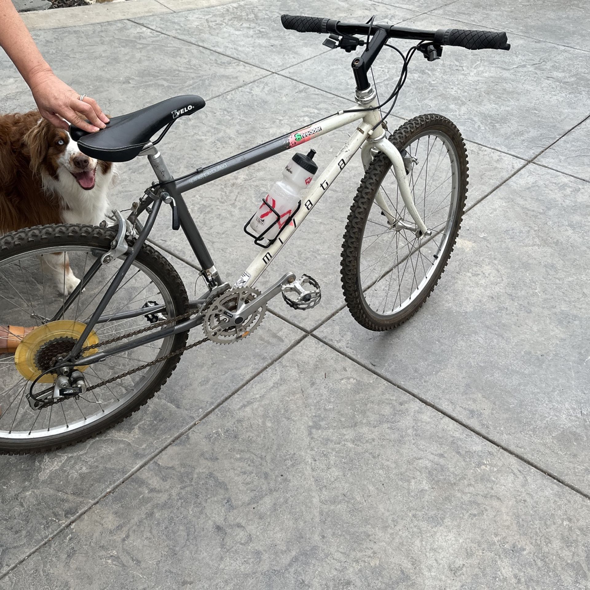 Miyata Mountain Bike