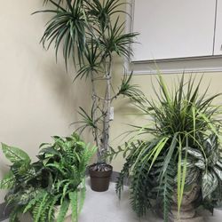 Decorative Fake Plants