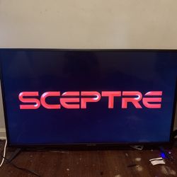45 Inch Flat Screen