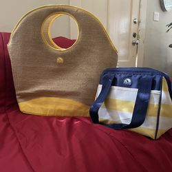 Igloo large cooler/tote bag and small cooler bag