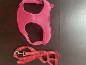 Dog Halter