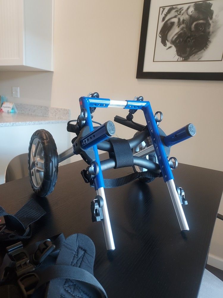Small Dog Wheel chair