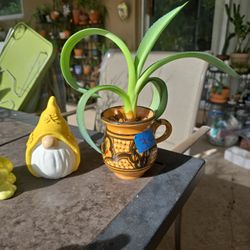 Agave in artesanal pot $3.00