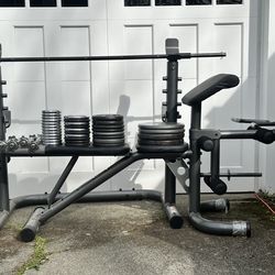 Workout bench + 260lbs In weights
