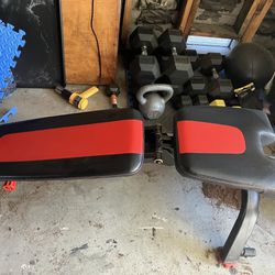 Bowflex Bench and Dumbbells