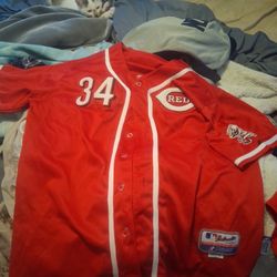 Cincinnati Reds Offical 