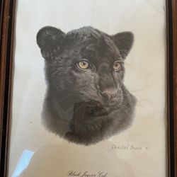 Pre Owner Antique Vintage CHARLES FRACE Collection Of Wild Animals With Signature  SALE Only  $50 Each 🍀