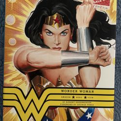 Wonder Woman: Amazon Hero Icon Hardcover – YR2015