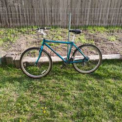 Trek Street Bike