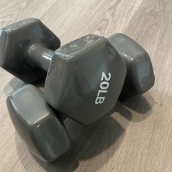 20lb weights