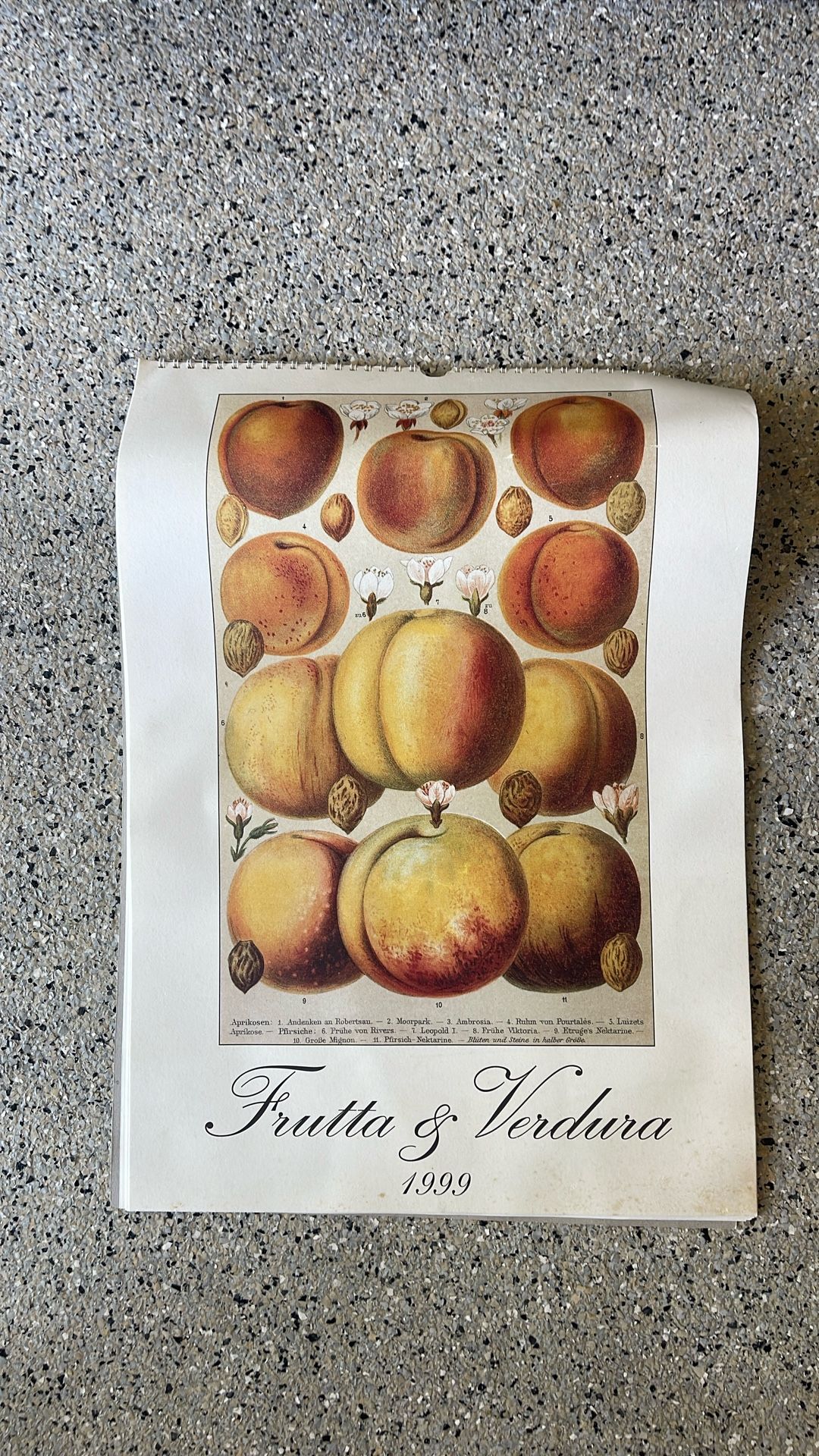 1999 Calendar