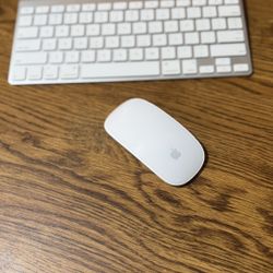 Apple Keyboard and Magic Mouse 