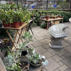 Selling My Garden 🪴