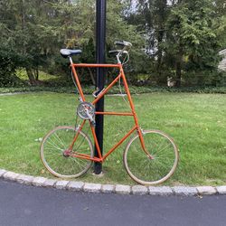 Advertising Giant Bicycle