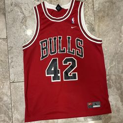 Vintage Chicago Bulls Elton Brand Jersey Mens Red 1990s Nike Size Large  Small defects