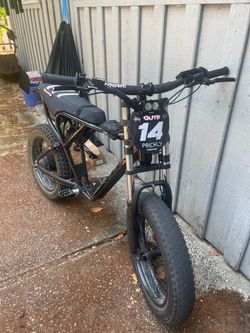 Ridstar q20 1500W