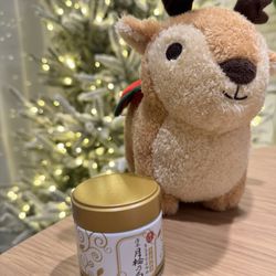 Uji, Japan Matcha Powder - Morihan Ceremonial Grade 