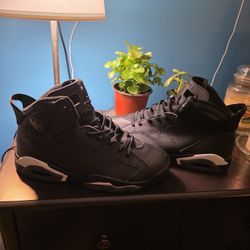 Jordan 6s