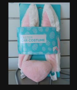 Easter Bunny 🐰 Car Decoration.!!