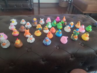 Ducks