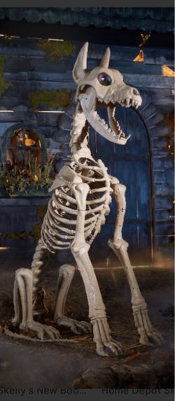 Sitting skelly dog