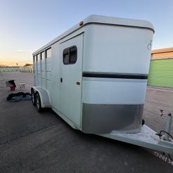 3 Horse Slant Horse Trailer Logan coach 