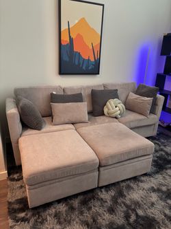 Light Gray Sectional