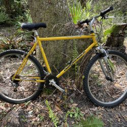 Diamondback discount sorrento 1990