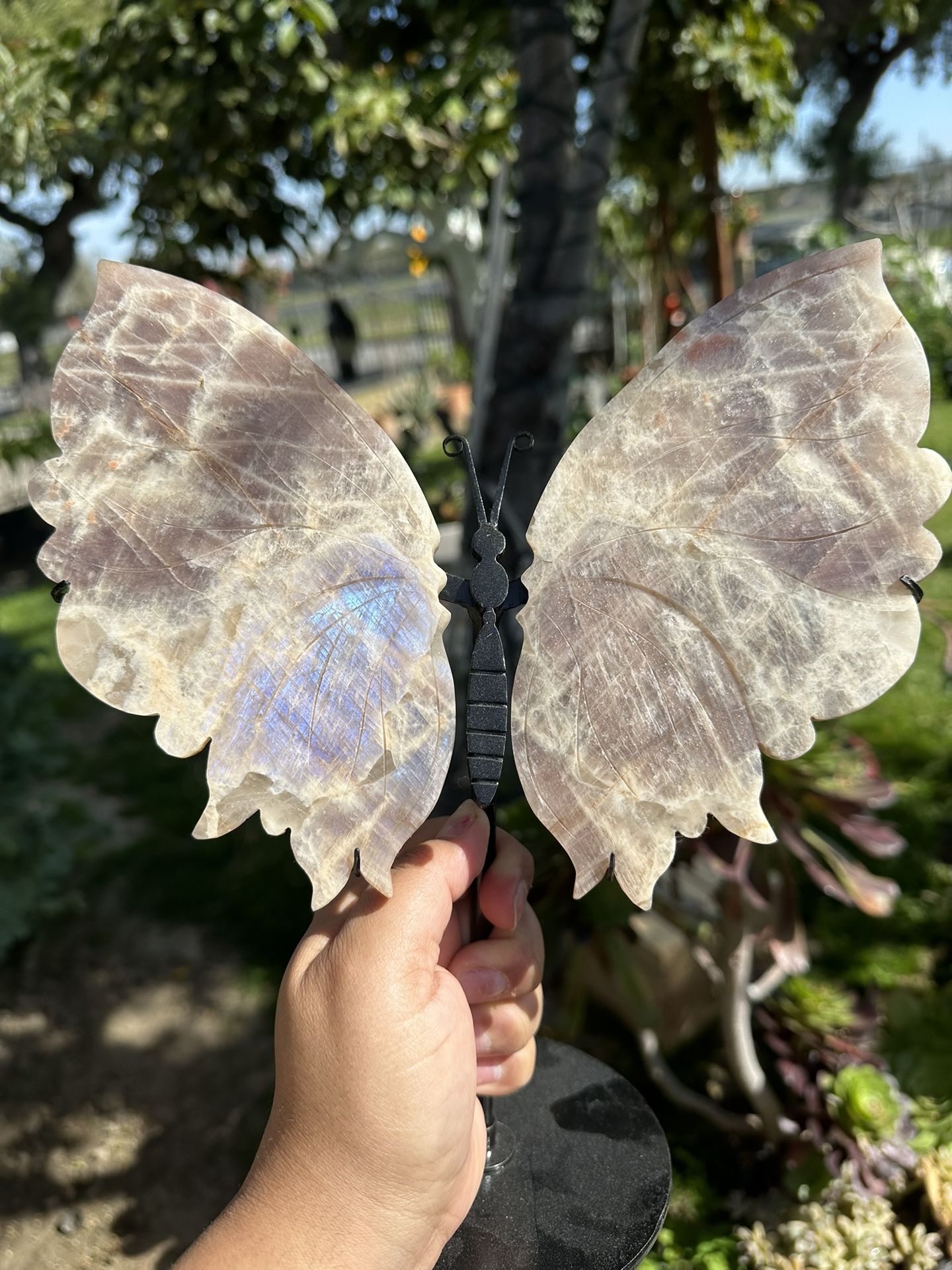 Moonstone Flashy Butterfly Wings