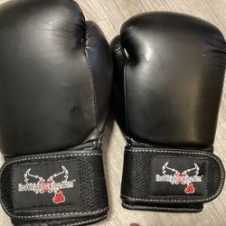 iLoveKickboxing Boxing Gloves 12 oz. 