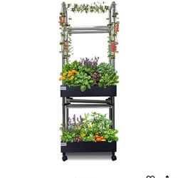 Upgraded Hydroponics Growing System