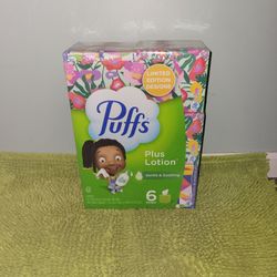 Pack 6 Boxes Puffs Tissues